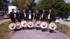 CONTRATACION DE MARIACHIS EN EL DF