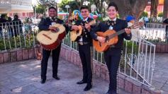 CONTRATACION DE MARIACHIS EN EL DF